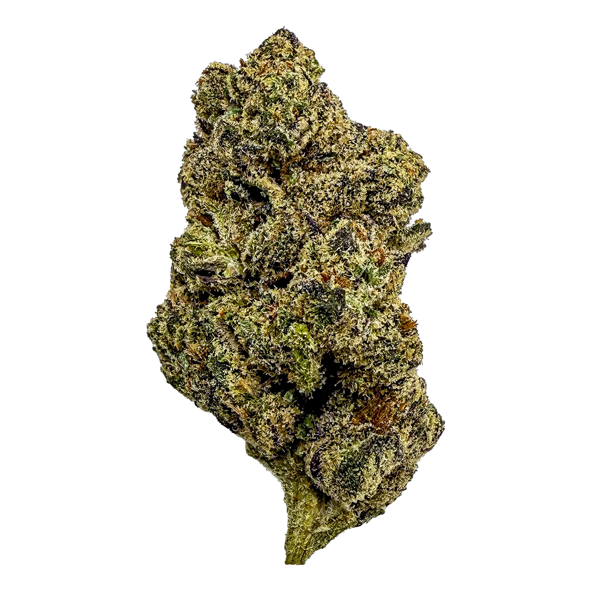Sunset Sherbet Indica THCA Flower – Bulk 1/4 lb, 1/2 lb, 1 lb | Premium Indoor Cannabis
