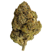Purple Punch Indica THCA Flower – Sungrown 3.5g Premium Cannabis Buds