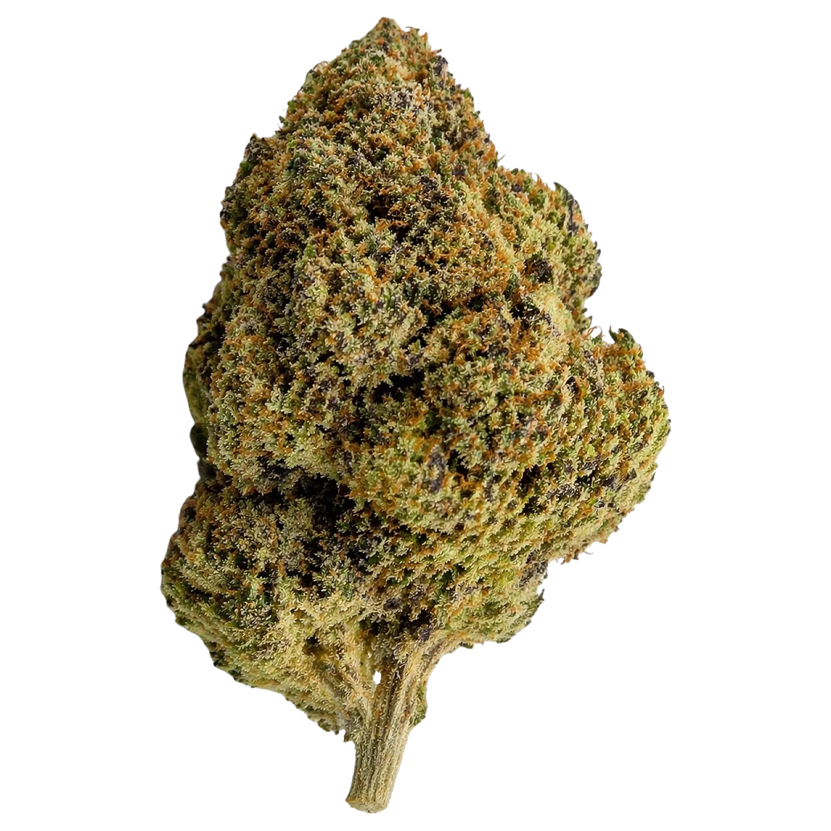 Purple Punch Indica THCA Flower – Sungrown 3.5g Premium Cannabis Buds
